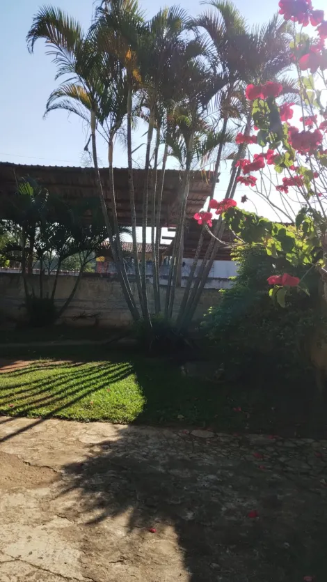 Comprar Rurais / Ch&aacute;cara em Suzano R$ 650.000,00 - Foto 8