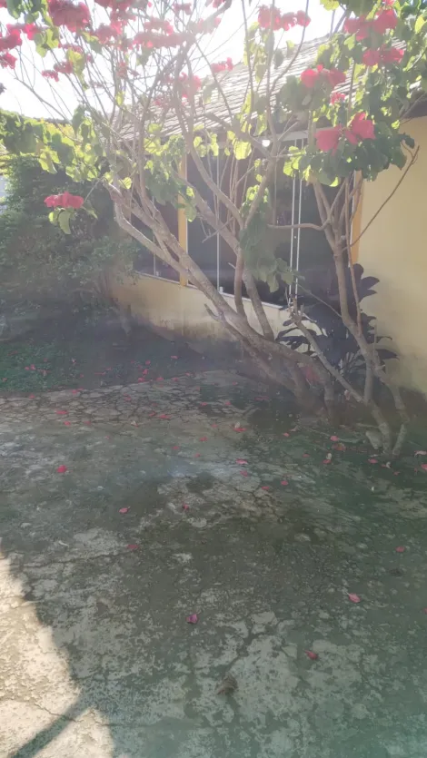 Comprar Rurais / Ch&aacute;cara em Suzano R$ 650.000,00 - Foto 16