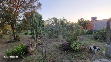 Comprar Rurais / Ch&aacute;cara em Suzano R$ 700.000,00 - Foto 36