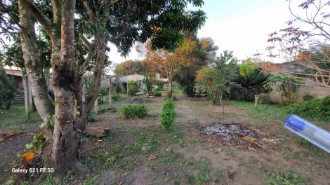 Comprar Rurais / Ch&aacute;cara em Suzano R$ 700.000,00 - Foto 38