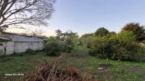 Comprar Rurais / Ch&aacute;cara em Suzano R$ 700.000,00 - Foto 41