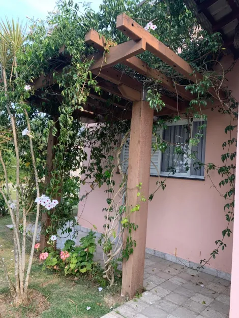 Comprar Casas / Chacara - &aacute;rea Urbana em Suzano R$ 800.000,00 - Foto 4