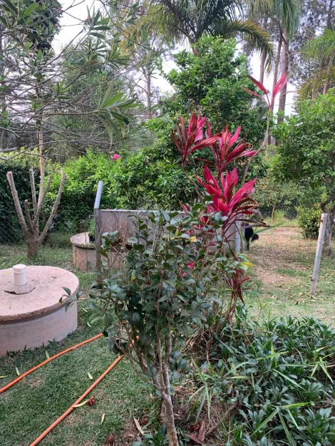 Comprar Casas / Chacara - &aacute;rea Urbana em Suzano R$ 800.000,00 - Foto 6