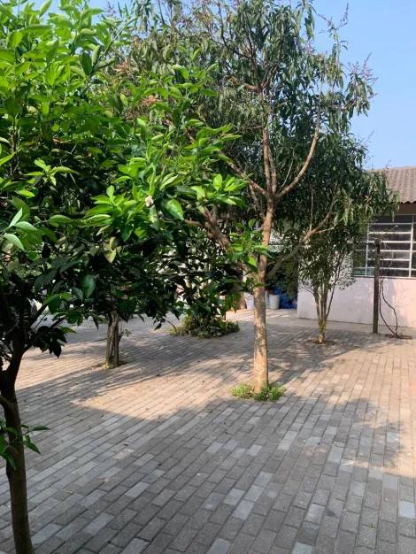 Comprar Casas / Chacara - &aacute;rea Urbana em Suzano R$ 800.000,00 - Foto 35