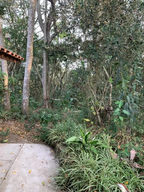 Comprar Casas / Chacara - &aacute;rea Urbana em Suzano R$ 800.000,00 - Foto 38