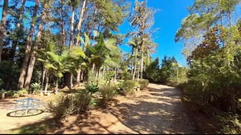 Comprar Casas / Condom&iacute;nio em Suzano R$ 1.600.000,00 - Foto 32