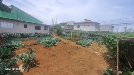 Alugar Terrenos / Terreno em Suzano R$ 1.000,00 - Foto 3