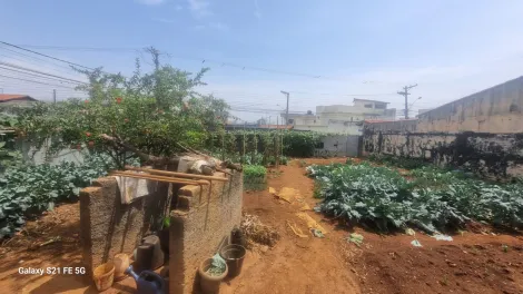 Alugar Terrenos / Terreno em Suzano R$ 1.000,00 - Foto 5