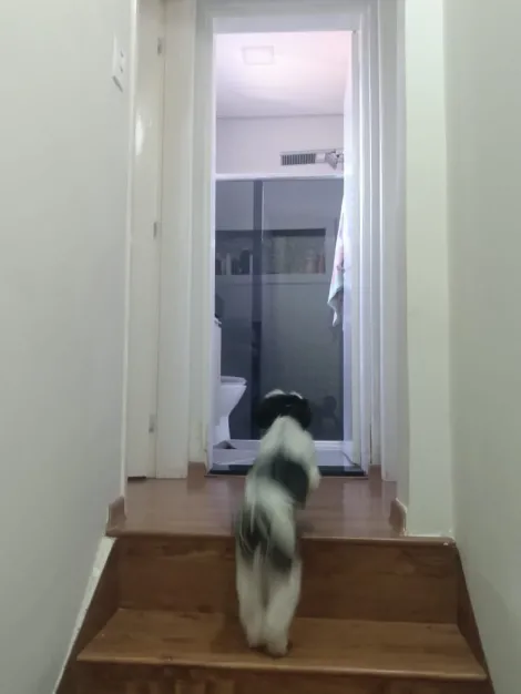 Comprar Casas / Condom&iacute;nio em Mogi das Cruzes R$ 335.000,00 - Foto 8