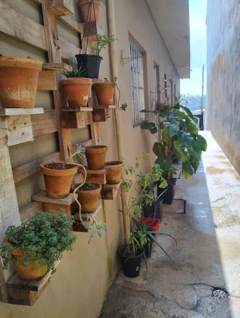 Comprar Casas / T&eacute;rrea em Suzano R$ 300.000,00 - Foto 3