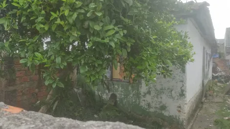 Comprar Terrenos / Terreno em Suzano R$ 425.000,00 - Foto 1