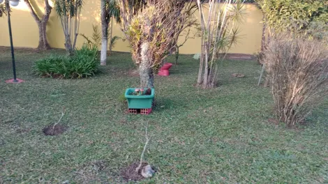 Comprar Casas / Chacara - &aacute;rea Urbana em Suzano R$ 1.299.000,00 - Foto 5