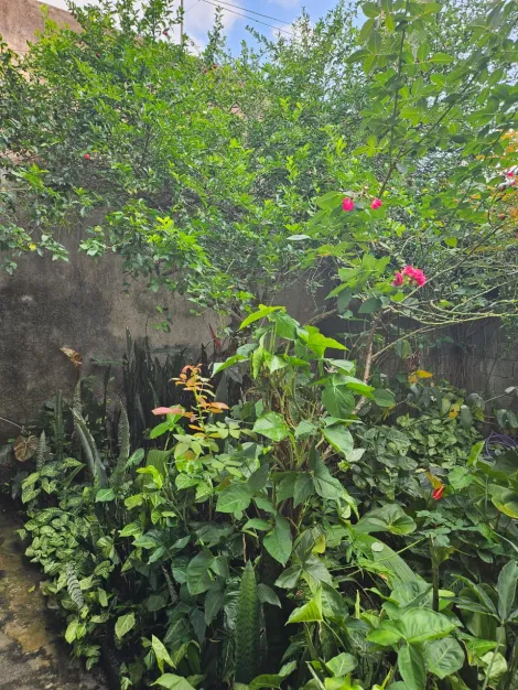 Comprar Casas / T&eacute;rrea em Suzano R$ 850.000,00 - Foto 29