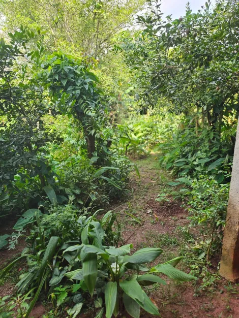 Comprar Casas / T&eacute;rrea em Suzano R$ 850.000,00 - Foto 27