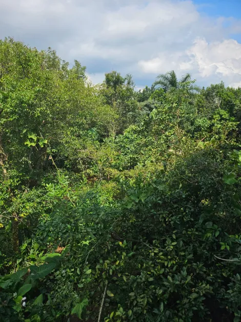 Comprar Casas / T&eacute;rrea em Suzano R$ 850.000,00 - Foto 24