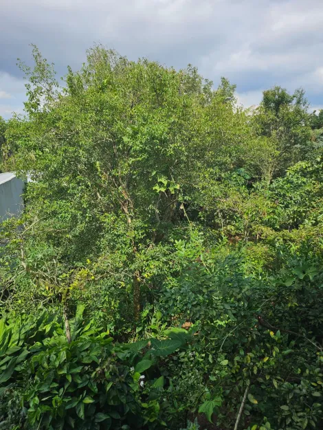 Comprar Casas / T&eacute;rrea em Suzano R$ 850.000,00 - Foto 21