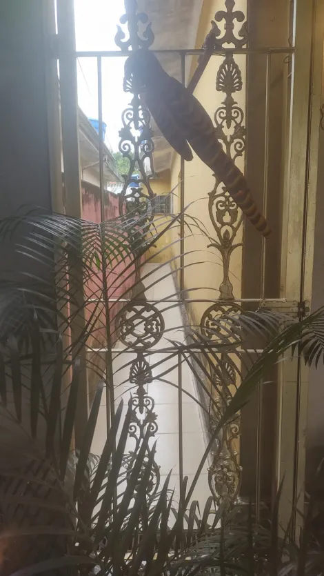 Comprar Casas / T&eacute;rrea em Suzano R$ 690.000,00 - Foto 8