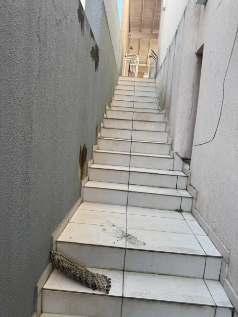 Comprar Casas / Sobrado em Suzano R$ 1.900.000,00 - Foto 19