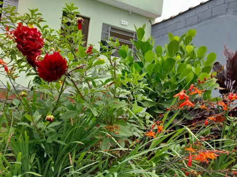 Comprar Casas / T&eacute;rrea em Suzano R$ 365.700,00 - Foto 2