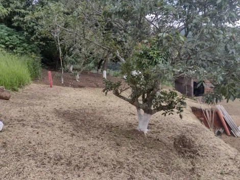 Comprar Rurais / Chácara em Suzano R$ 318.000,00 - Foto 19