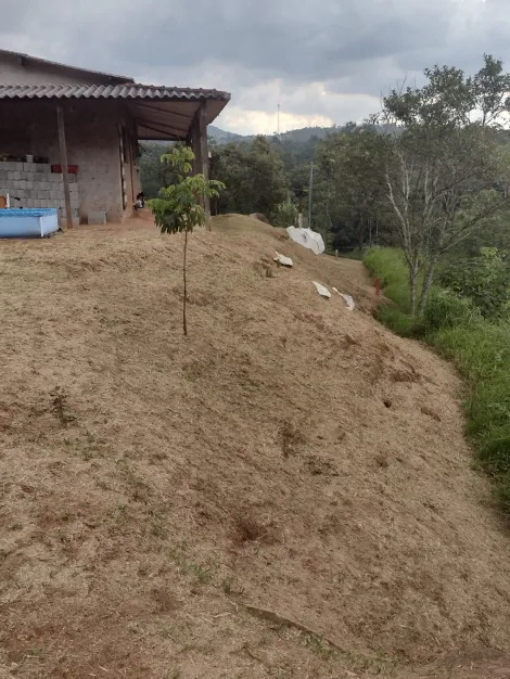 Comprar Rurais / Chácara em Suzano R$ 318.000,00 - Foto 20