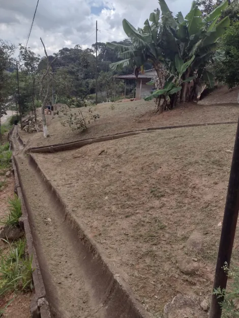 Comprar Rurais / Chácara em Suzano R$ 318.000,00 - Foto 21