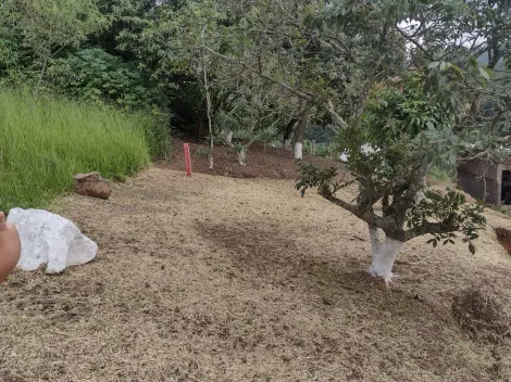 Comprar Rurais / Chácara em Suzano R$ 318.000,00 - Foto 24