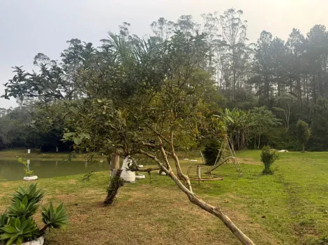 Alugar Rurais / Fazenda em Suzano R$ 5.000,00 - Foto 2