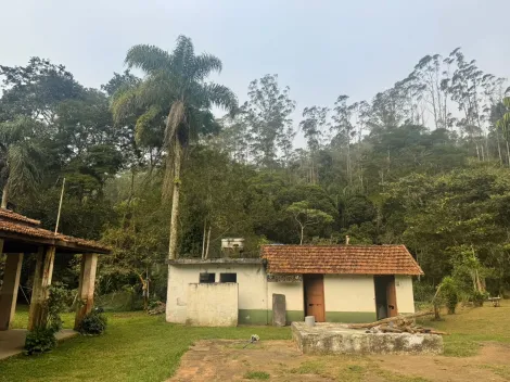 Alugar Rurais / Fazenda em Suzano R$ 5.000,00 - Foto 4
