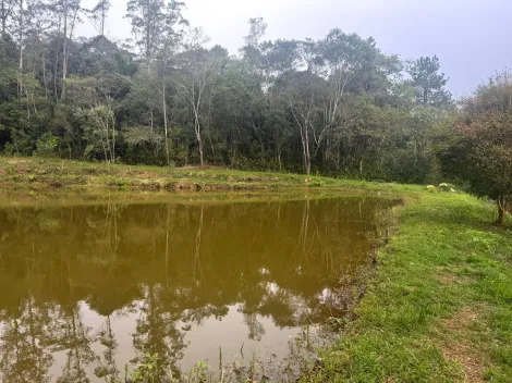 Alugar Rurais / Fazenda em Suzano R$ 5.000,00 - Foto 6