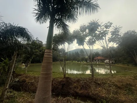 Alugar Rurais / Fazenda em Suzano R$ 5.000,00 - Foto 8