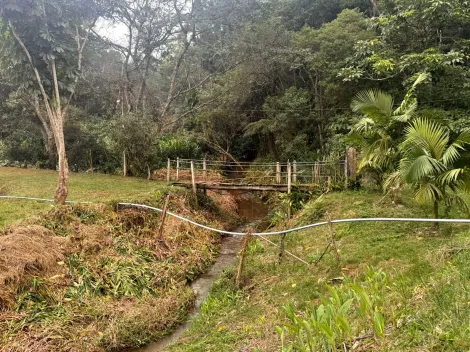 Alugar Rurais / Fazenda em Suzano R$ 5.000,00 - Foto 12