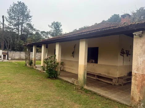 Alugar Rurais / Fazenda em Suzano R$ 5.000,00 - Foto 14