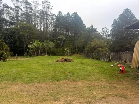 Alugar Rurais / Fazenda em Suzano R$ 5.000,00 - Foto 16