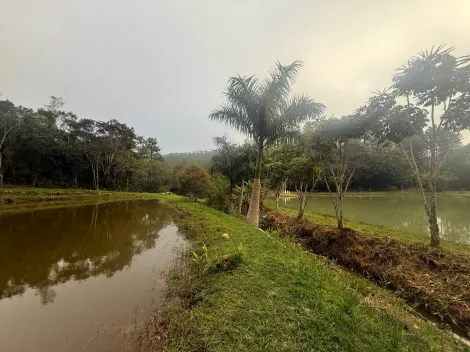 Alugar Rurais / Fazenda em Suzano R$ 5.000,00 - Foto 31
