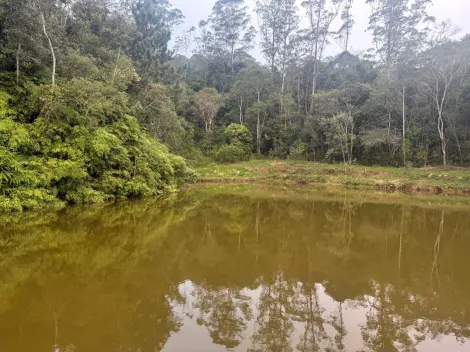 Alugar Rurais / Fazenda em Suzano R$ 5.000,00 - Foto 33