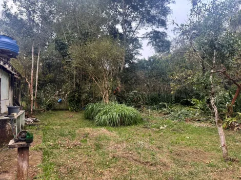 Alugar Rurais / Fazenda em Suzano R$ 5.000,00 - Foto 37