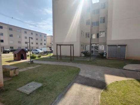 Alugar Apartamentos / Padr&atilde;o em Suzano R$ 1.000,00 - Foto 6