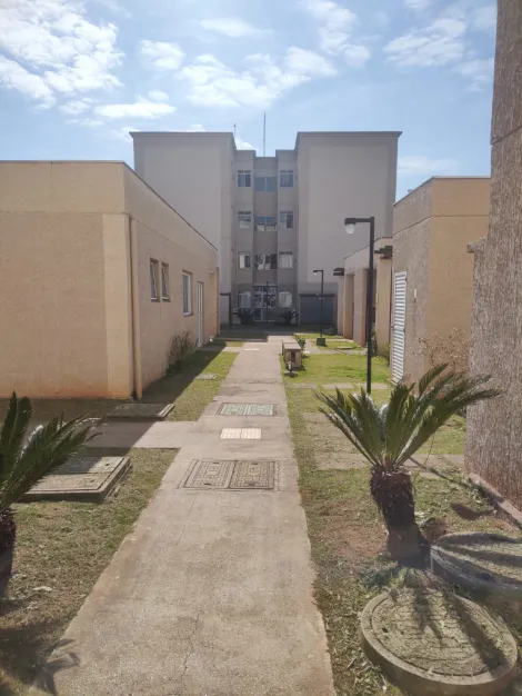 Alugar Apartamentos / Padr&atilde;o em Suzano R$ 1.000,00 - Foto 8