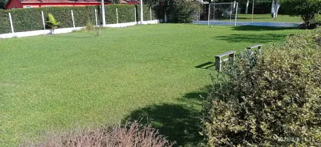 Alugar Rurais / Ch&aacute;cara em Suzano R$ 10.000,00 - Foto 14