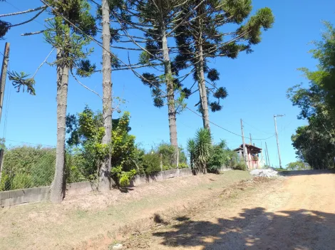 Comprar Rurais / Chácara em Biritiba-Mirim R$ 670.000,00 - Foto 9