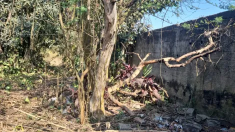 Alugar Terrenos / Terreno em Suzano R$ 15.000,00 - Foto 1