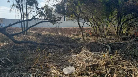 Alugar Terrenos / Terreno em Suzano R$ 15.000,00 - Foto 2