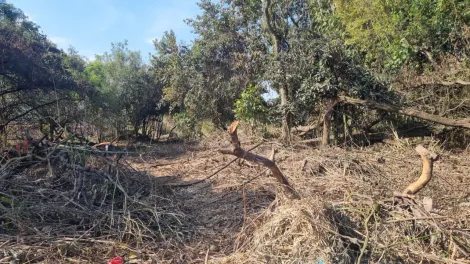 Alugar Terrenos / Terreno em Suzano R$ 15.000,00 - Foto 3