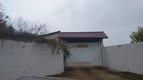 Alugar Rurais / Chácara em Suzano R$ 3.500,00 - Foto 19