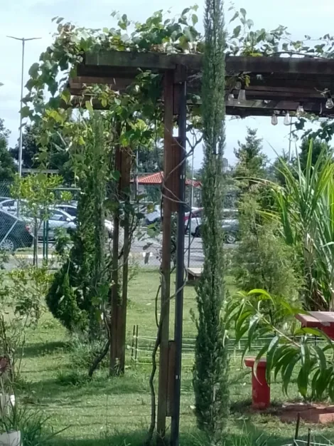 Comprar Apartamentos / Padrão em Suzano R$ 200.000,00 - Foto 3