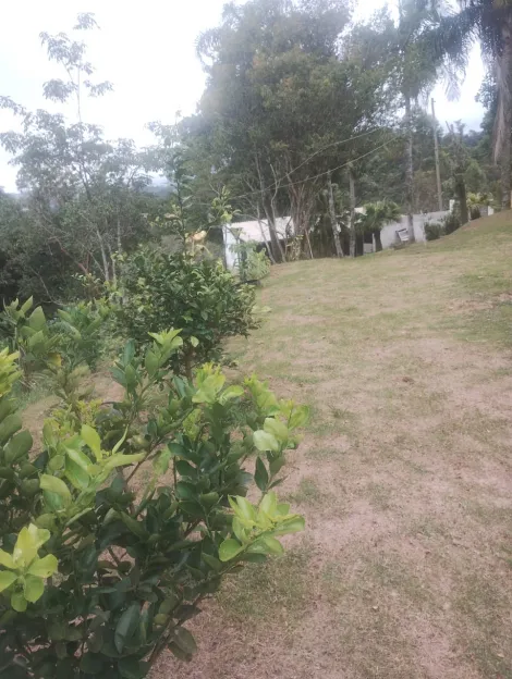 Comprar Rurais / Sítio em Mogi das Cruzes R$ 700.000,00 - Foto 4