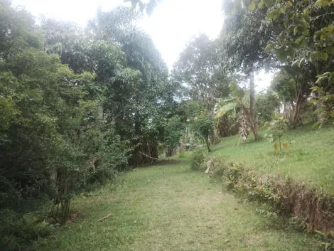 Comprar Rurais / Sítio em Mogi das Cruzes R$ 700.000,00 - Foto 6