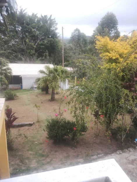 Comprar Rurais / Sítio em Mogi das Cruzes R$ 700.000,00 - Foto 7