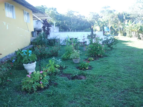 Comprar Rurais / Sítio em Mogi das Cruzes R$ 700.000,00 - Foto 13